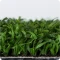 Gazon artificiel vert