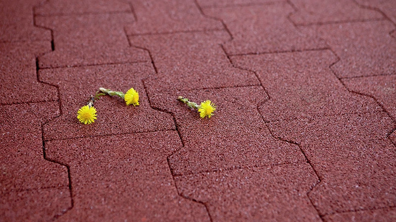 La photo montre un gros plan de pavés en caoutchouc rouge au format double T. Deux petites fleurs jaunes reposent sur la surface, mettant en valeur la texture et la couleur du matériau. La surface élastique en granulat de caoutchouc lié au PU est finement poreuse, perméable à l'eau et presque sans joint. L’image souligne l’aspect naturel et la qualité du détail du matériau.
